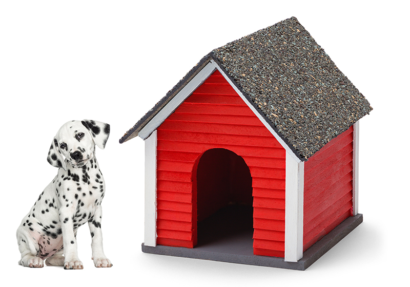 Home Financing- sparky with doghouse
